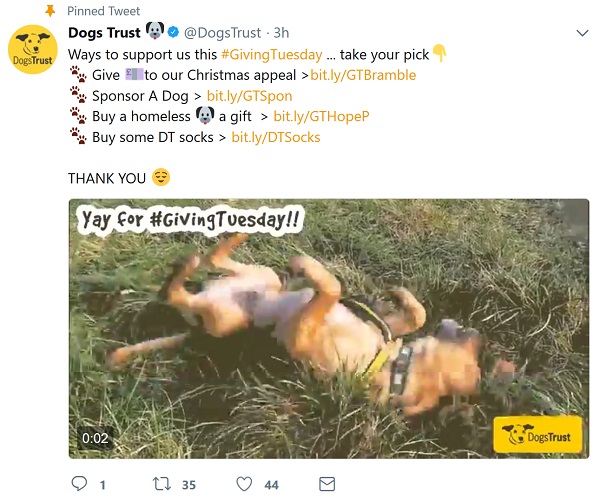 Dogs Trust - 4 ways to give + silly dog video