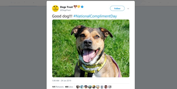 Dogs Trust tweet with almost 500 likes. Image: smiling dog. Text says 'Good dog!!! #NationalComplimentDay'
