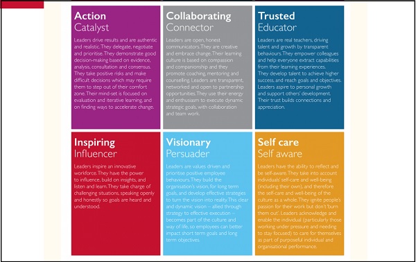 acevo leadership framework