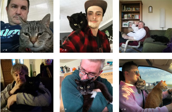 six photos of men with their cats (including one of cats in a car)