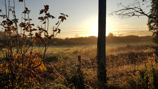 Countryside view - early morning. Orange light.